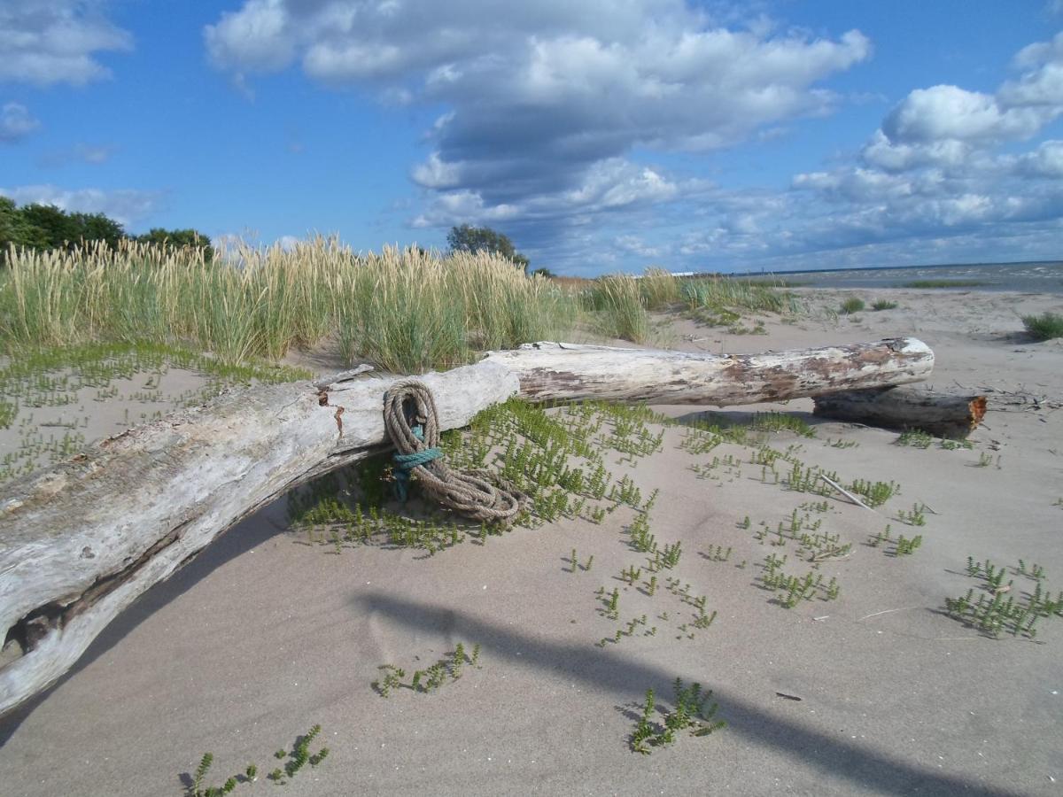 Tihase Puhkemajake Pärnu Esterno foto
